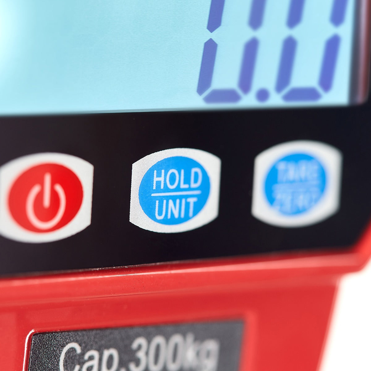 BÁSCULA COLGANTE 300 KG | CRS-300