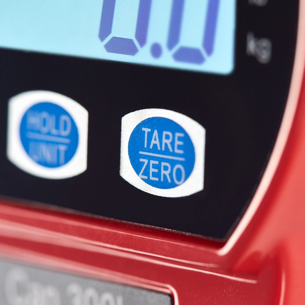 BÁSCULA COLGANTE 300 KG | CRS-300